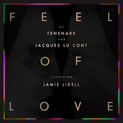 Feel Of Love Joe Goddard Remix
