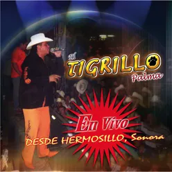 El Frijolito Live