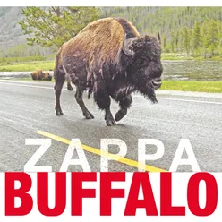 Buffalo