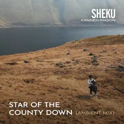 Star of the County Down Matt Robertson Ambient Mix