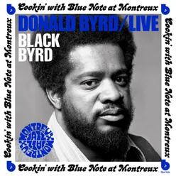 Black Byrd Live