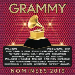 2019 GRAMMY® Nominees