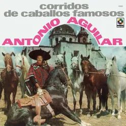 Caballo Prieto Afamado