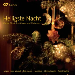 Rheinberger: Advent-Motette, Op. 176 - VI. Qui sedes