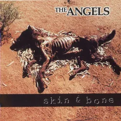 Skin & Bone