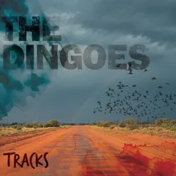 Tracks