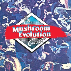 The Mushroom Evolution ConcertLive