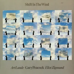 Shift In The Wind