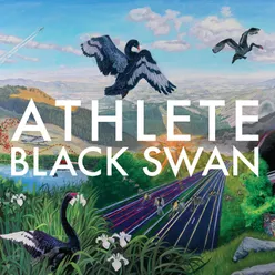 Black Swan Song-Acoustic - Album Version CD2