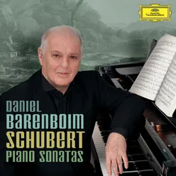 Schubert: Piano Sonata No. 9 in B, D.575 - I. Allegro ma non troppo