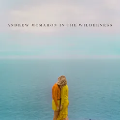 Andrew McMahon In The Wilderness