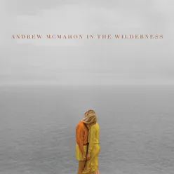 Andrew McMahon In The Wilderness Deluxe Edition