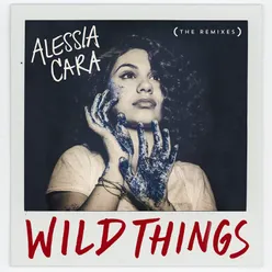 Wild Things-The Remixes