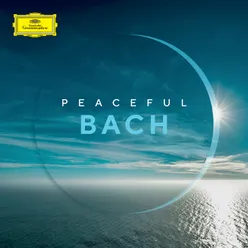 J.S. Bach: Harpsichord Concerto No.1 in D Minor, BWV 1052: II. Adagio