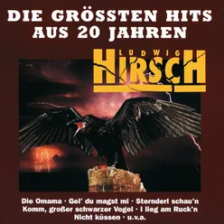 Die Grössten Hits Aus 20 Jahren