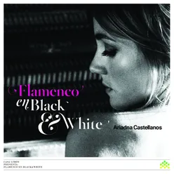 Flamenco En Black & White