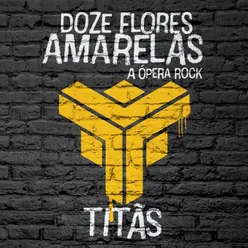 Doze Flores Amarelas