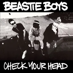 Check Your Head Deluxe Edition/Remastered/2009