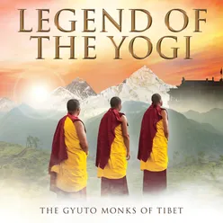 Legend Of The Yogi The Orb's Garden Of Knowing The Ambient Mix