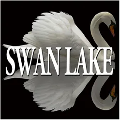 Tchaikovsky : Swan Lake Op.20 : V Hungarian Dance [Czardas]