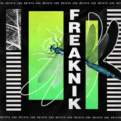 Freaknik