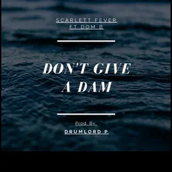 Don't Give a Dam (feat. Dom B)