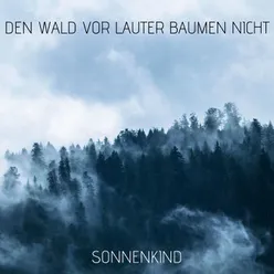 Den Wald vor lauter Bäumen Nicht