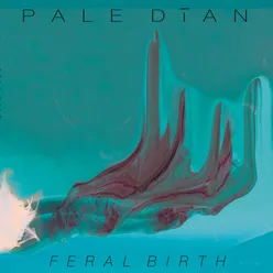 Feral Birth