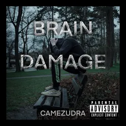 Brain Damage