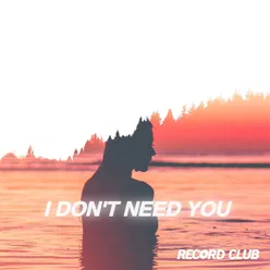 I Don't Need You