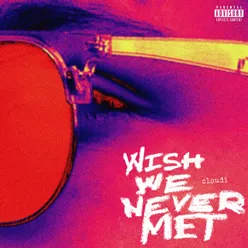 Wish We Never Met