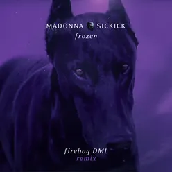 Frozen Fireboy DML Remix
