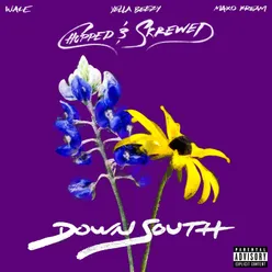 Down South (feat. Yella Beezy & Maxo Kream) Chopped & Skrewed