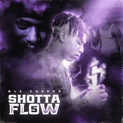 Shotta Flow 5