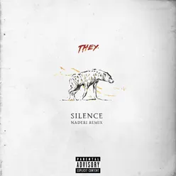 Silence Naderi Remix