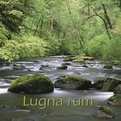 SPA-Serien - Lugna rum