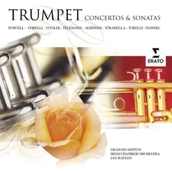 Vivaldi: Concerto in D Major, RV 781: I. Allegro (Version with 2 Trumpets)