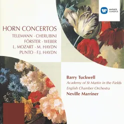 Horn Concerto in D Major, P. 134: III. Menuetto - Trio