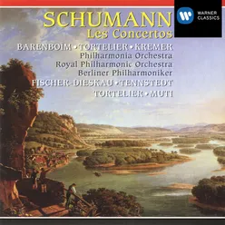 Violin Concerto in D minor Op. posth.: II. Langsam