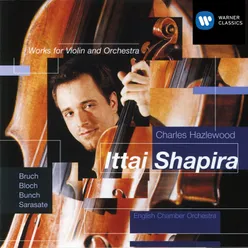 Bruch: Violin Concerto etc