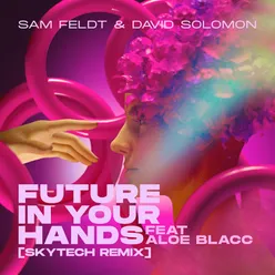 Future In Your Hands (feat. Aloe Blacc) Skytech Remix