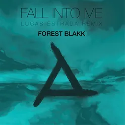 Fall Into Me Lucas Estrada Remix