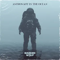 Astronaut In The Ocean