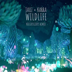 Wildlife KOLIDESCOPES Remix