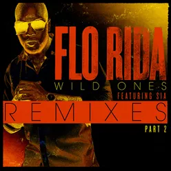 Wild Ones (feat. Sia) Remixes Pt. 2