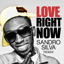 Love Right Now Sandro Silva Remix