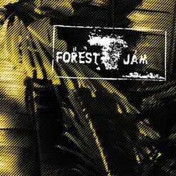 Forest Jam Sessions 2014-2016