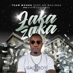 Zaka Zaka (feat. Dr Malinga)