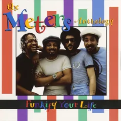 A Message from The Meters Single Version