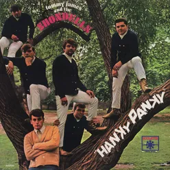 Hanky Panky Single Version